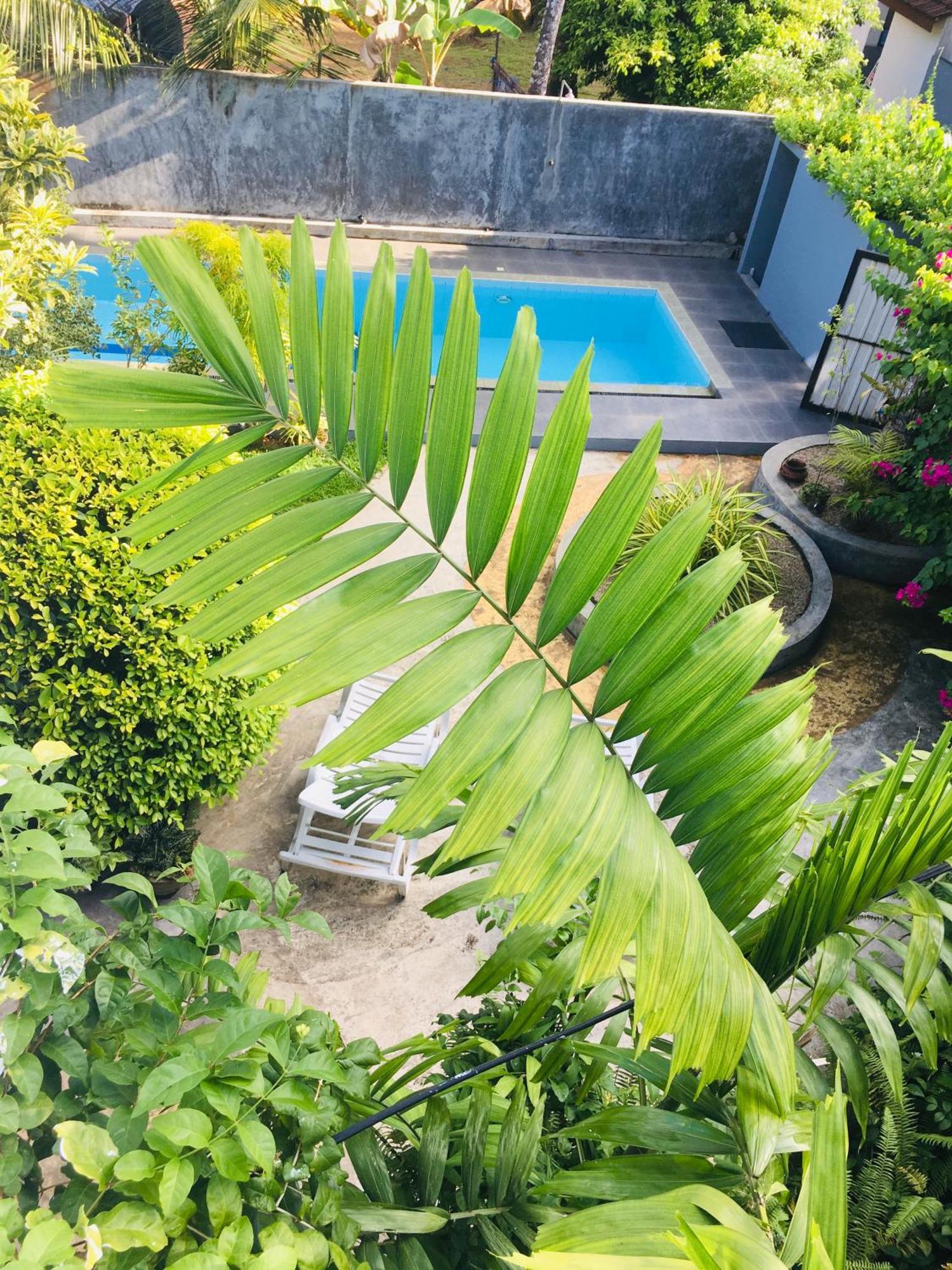 Om Villa Хиккадува Экстерьер фото